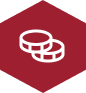 Salary Icon